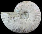 Silver Iridescent Ammonite - Madagascar #51495-1